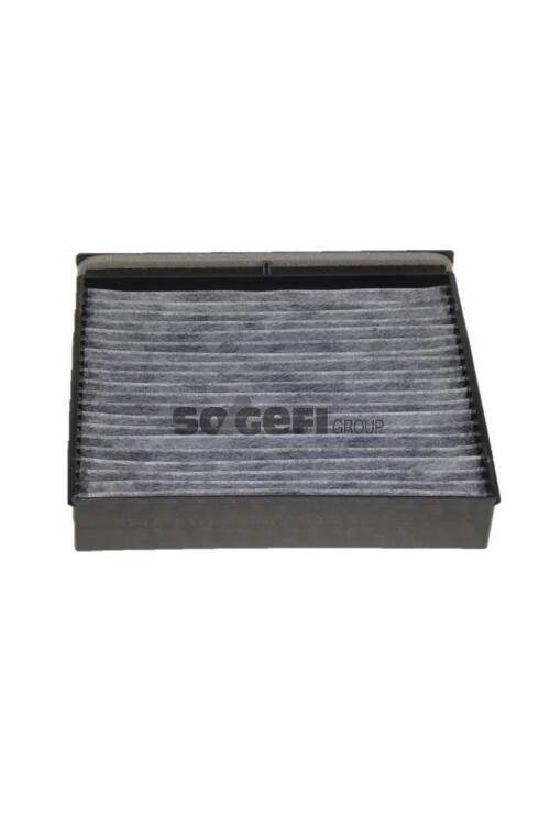 POLEN FİLTRESİ SCENIC II 03> KARBONLU O.E