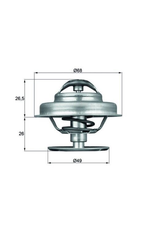 TERMOSTAT RENAULT 25 B29 89C
