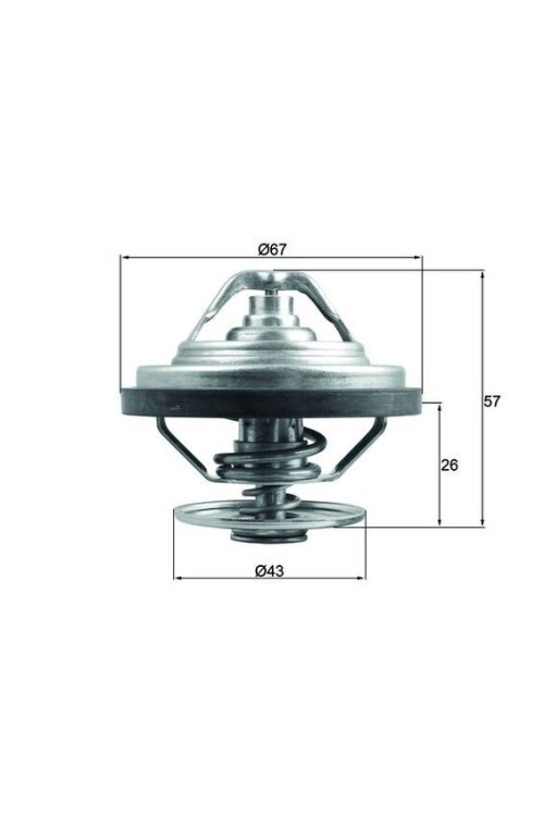 TERMOSTAT Thermostat insert