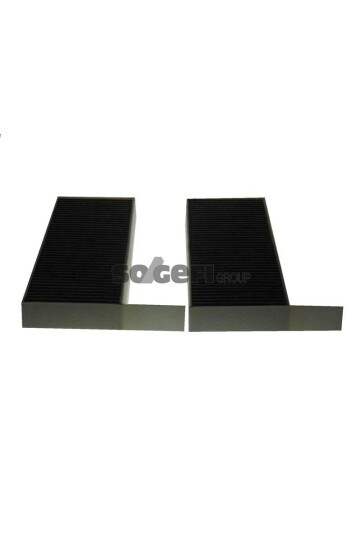 POLEN FİLTRESİ ASTRA L 21> P308 II-III 13> P508 18> KARBONLU