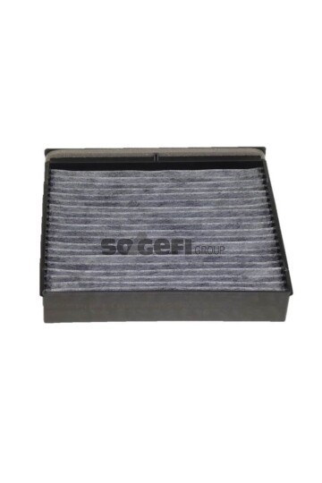 POLEN FİLTRESİ SCENIC II 03> KARBONLU O.E