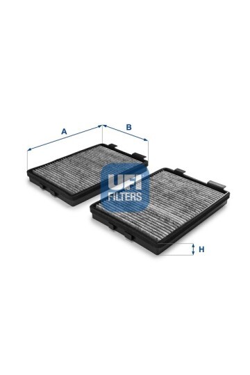 POLEN FILTRESI X2 BMW E39 KARBONLU