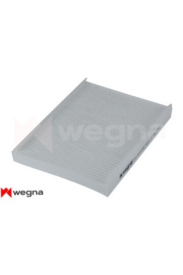 POLEN FİLTRESİ BRAVO II 07>STILO 801-06 DELTA III 08> 1.4-1.6D- 1.9JTD-2.0D CU 2422