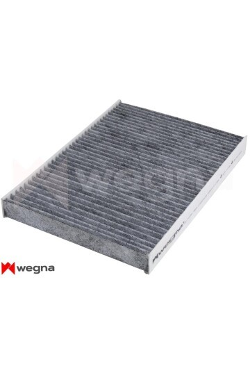 POLEN FİLTRESİ POLO3-POLO CLASSIC-GOLF3-GOLF4-BORA-A3-TOLEDO 97-04 -PASSAT 01-05 KARBONLU CUK 2862