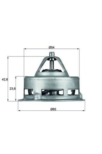 TERMOSTAT Thermostat insert